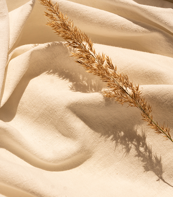 Nely Textile
